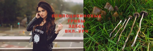 гашиш Абаза