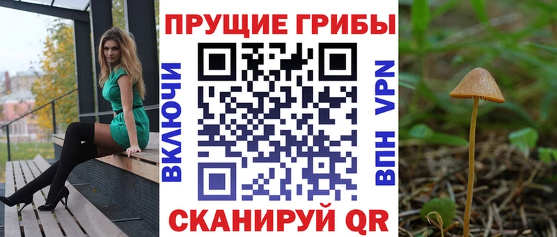Галлюциногенные грибы прущие грибы  Карабаново 